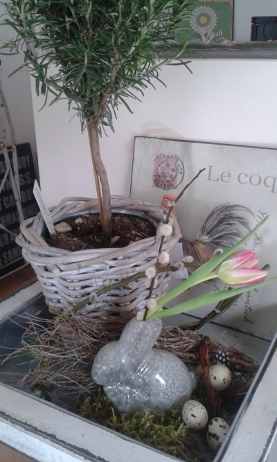 20150321_104755 (3)